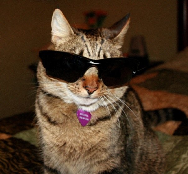 Name:  Russell.jpg
Views: 275
Size:  56.8 KB