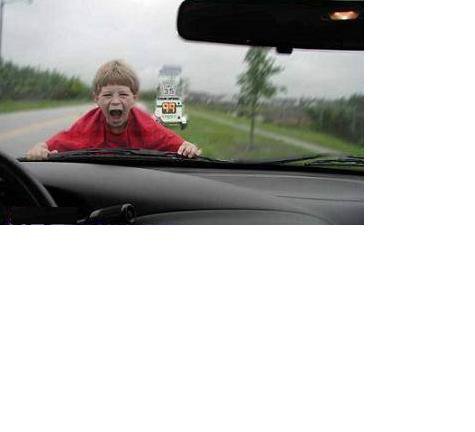 Name:  kid winshield.jpg
Views: 874
Size:  17.0 KB