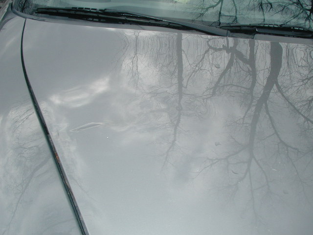 Name:  P1010003.JPG
Views: 674
Size:  55.7 KB