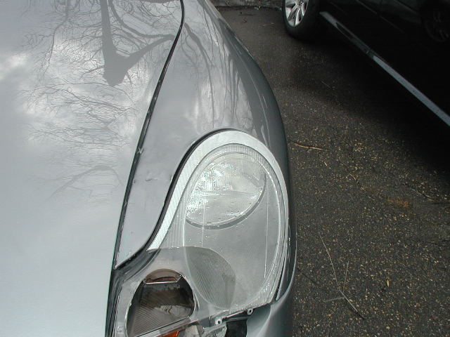 Name:  P1010002.JPG
Views: 630
Size:  61.6 KB
