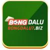 bongdalu7biz's Avatar