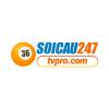 soicau247tvpro's Avatar