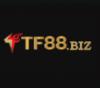 tf88bizz's Avatar