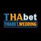 thabetwedding's Avatar