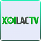 xoilactvtube's Avatar